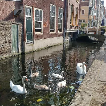 De Vliegende Vos Het Geboortehuis Johannes Vermeer Inn